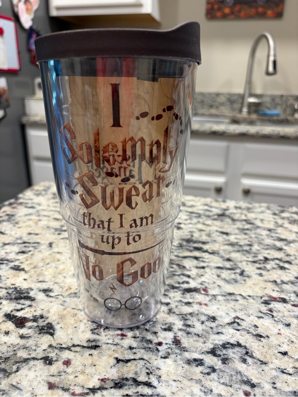 Tervis Harry Potter 24oz Clear Plastic Tumbler w/ Lid I Solemnly Swear